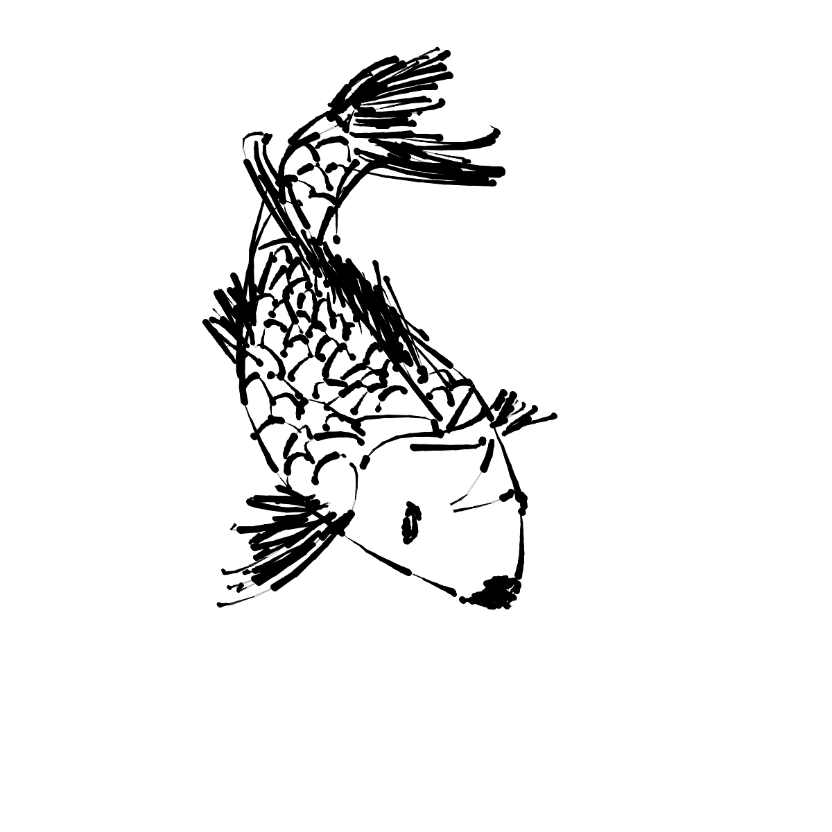 fish